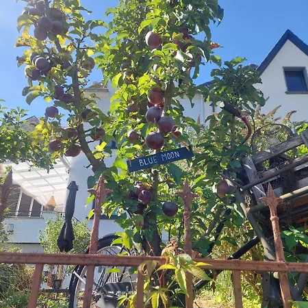 Дом отдыха Koje1